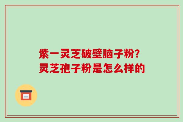 紫一灵芝破壁脑子粉？灵芝孢子粉是怎么样的