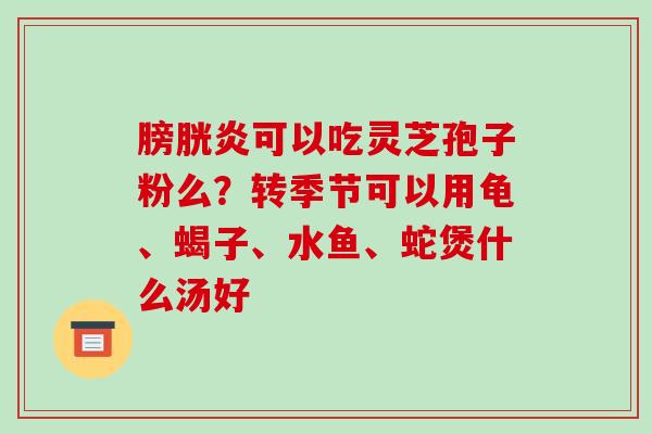膀胱炎可以吃灵芝孢子粉么？转季节可以用龟、蝎子、水鱼、蛇煲什么汤好