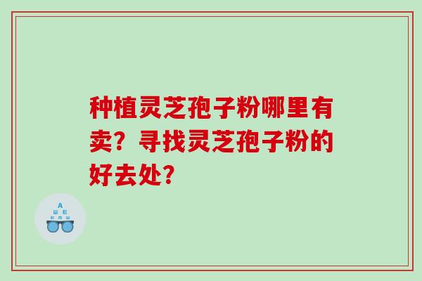 种植灵芝孢子粉哪里有卖？寻找灵芝孢子粉的好去处？
