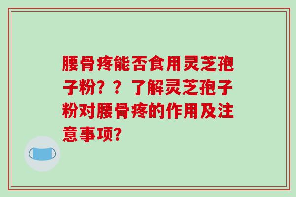 腰骨疼能否食用灵芝孢子粉？？了解灵芝孢子粉对腰骨疼的作用及注意事项？