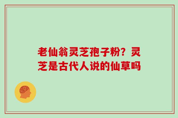 老仙翁灵芝孢子粉？灵芝是古代人说的仙草吗