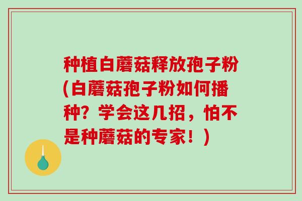 种植白蘑菇释放孢子粉(白蘑菇孢子粉如何播种？学会这几招，怕不是种蘑菇的专家！)