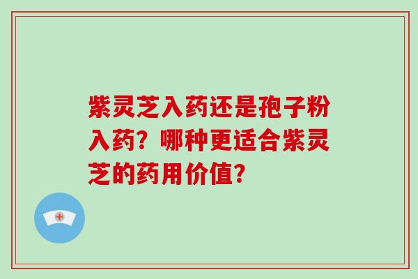 紫灵芝入药还是孢子粉入药？哪种更适合紫灵芝的药用价值？