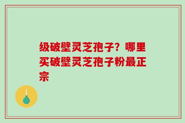级破壁灵芝孢子？哪里买破壁灵芝孢子粉正宗
