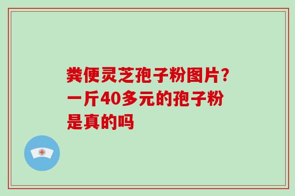 粪便灵芝孢子粉图片？一斤40多元的孢子粉是真的吗