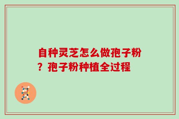 自种灵芝怎么做孢子粉？孢子粉种植全过程