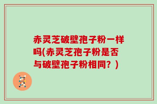 赤灵芝破壁孢子粉一样吗(赤灵芝孢子粉是否与破壁孢子粉相同？)