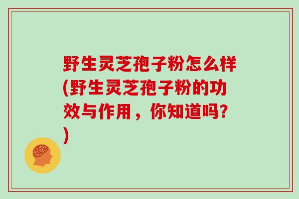 野生灵芝孢子粉怎么样(野生灵芝孢子粉的功效与作用，你知道吗？)