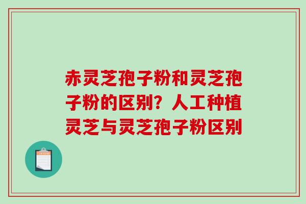 赤灵芝孢子粉和灵芝孢子粉的区别？人工种植灵芝与灵芝孢子粉区别