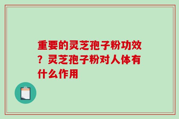 重要的灵芝孢子粉功效？灵芝孢子粉对人体有什么作用
