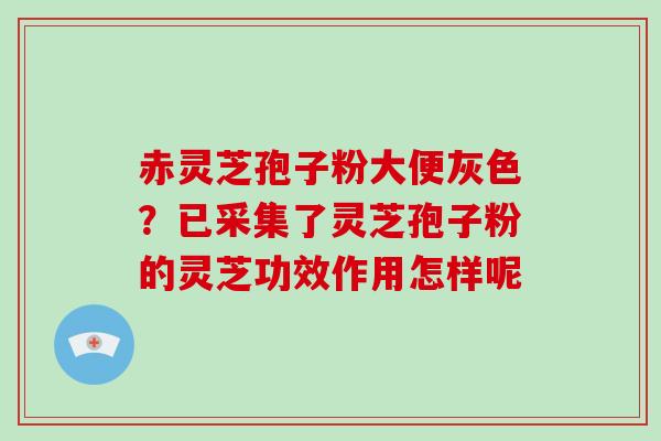 赤灵芝孢子粉大便灰色？已采集了灵芝孢子粉的灵芝功效作用怎样呢