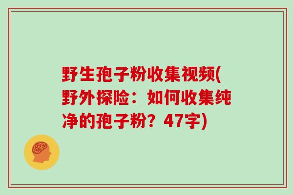 野生孢子粉收集视频(野外探险：如何收集纯净的孢子粉？47字)