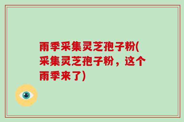 雨季采集灵芝孢子粉(采集灵芝孢子粉，这个雨季来了)
