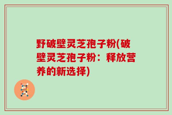 野破壁灵芝孢子粉(破壁灵芝孢子粉：释放营养的新选择)