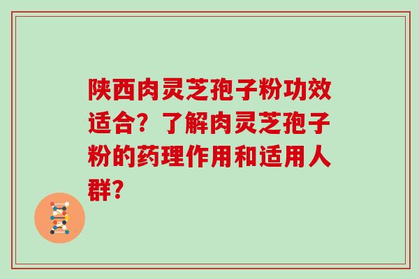 陕西肉灵芝孢子粉功效适合？了解肉灵芝孢子粉的药理作用和适用人群？