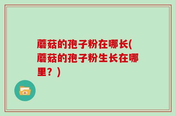 蘑菇的孢子粉在哪长(蘑菇的孢子粉生长在哪里？)