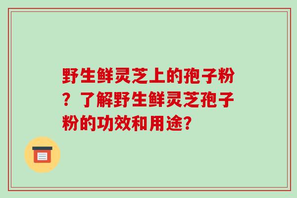 野生鲜灵芝上的孢子粉？了解野生鲜灵芝孢子粉的功效和用途？