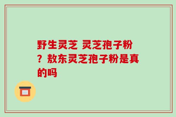野生灵芝 灵芝孢子粉?敖东灵芝孢子粉是真的吗 野生灵芝 灵芝孢子粉?敖东灵芝孢子粉是真的吗