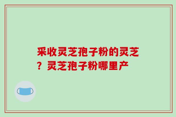 采收灵芝孢子粉的灵芝?灵芝孢子粉哪里产 采收灵芝孢子粉的灵芝?灵芝孢子粉哪里产