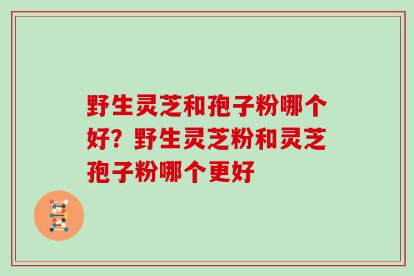野生灵芝和孢子粉哪个好？野生灵芝粉和灵芝孢子粉哪个更好