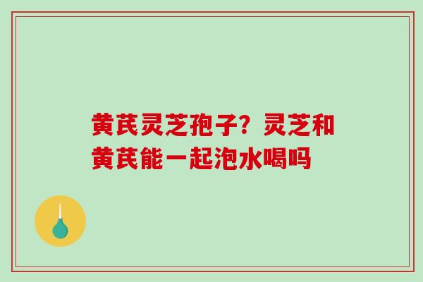黄芪灵芝孢子？灵芝和黄芪能一起泡水喝吗