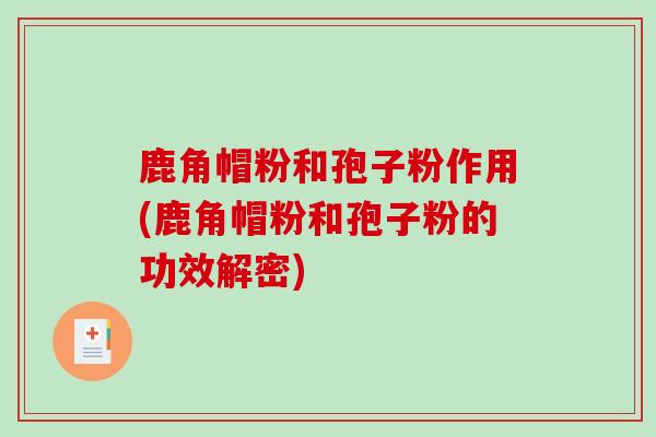 鹿角帽粉和孢子粉作用(鹿角帽粉和孢子粉的功效解密)
