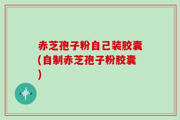 赤芝孢子粉自己装胶囊(自制赤芝孢子粉胶囊)