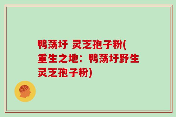 鸭荡圩 灵芝孢子粉(重生之地：鸭荡圩野生灵芝孢子粉)