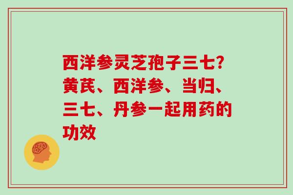 西洋参灵芝孢子三七?黄芪、西洋参、当归、三七、丹参一起用药的功效 西洋参灵芝孢子三七?黄芪、西洋参、当归、三七、丹参一起用药的功效