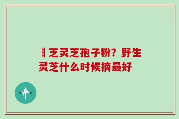 雲芝灵芝孢子粉?野生灵芝什么时候摘好 雲芝灵芝孢子粉?野生灵芝什么时候摘好