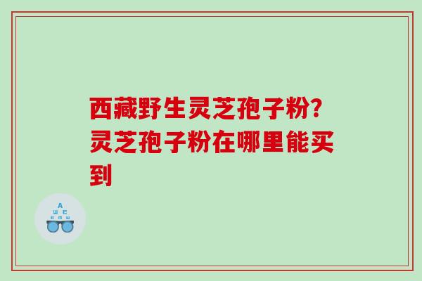 西藏野生灵芝孢子粉？灵芝孢子粉在哪里能买到