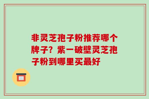 非灵芝孢子粉推荐哪个牌子？紫一破壁灵芝孢子粉到哪里买好