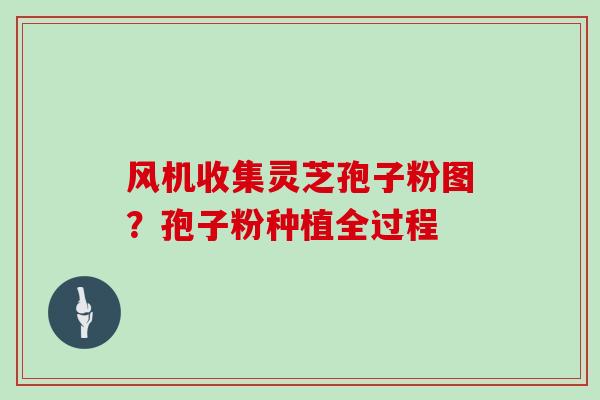 风机收集灵芝孢子粉图？孢子粉种植全过程