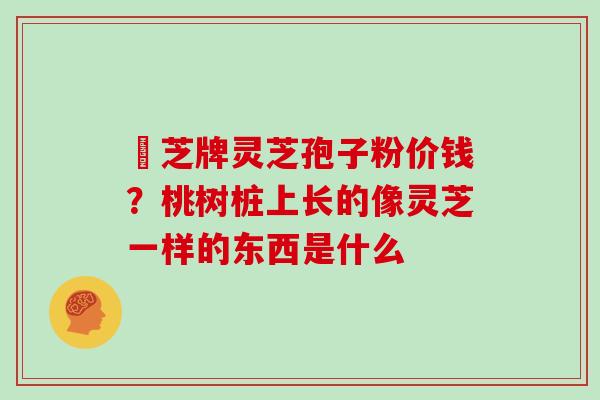 雲芝牌灵芝孢子粉价钱？桃树桩上长的像灵芝一样的东西是什么