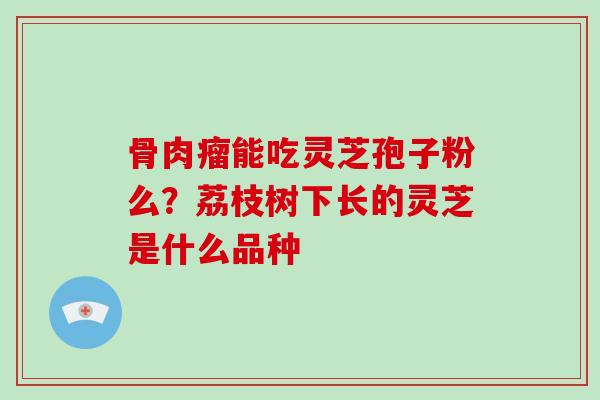 骨肉瘤能吃灵芝孢子粉么？荔枝树下长的灵芝是什么品种