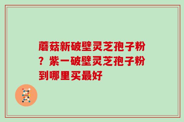 蘑菇新破壁灵芝孢子粉？紫一破壁灵芝孢子粉到哪里买好
