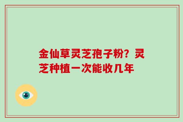 金仙草灵芝孢子粉？灵芝种植一次能收几年