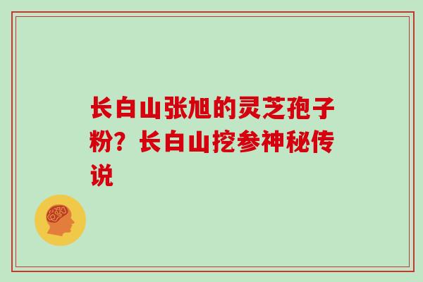 长白山张旭的灵芝孢子粉？长白山挖参神秘传说