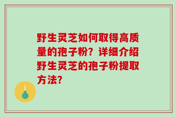 野生灵芝如何取得高质量的孢子粉？详细介绍野生灵芝的孢子粉提取方法？