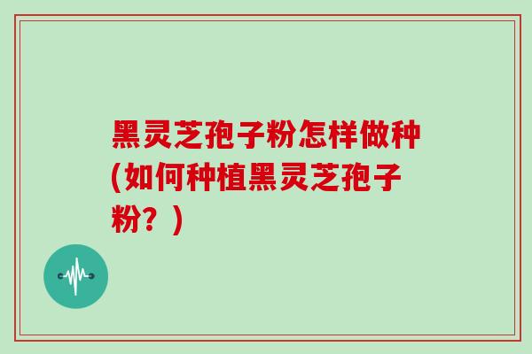 黑灵芝孢子粉怎样做种(如何种植黑灵芝孢子粉？)