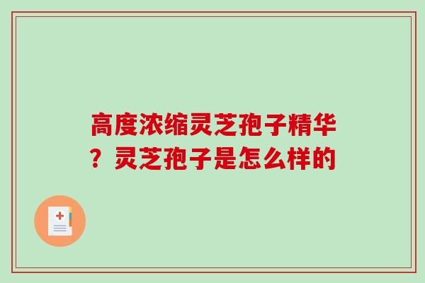 高度浓缩灵芝孢子精华？灵芝孢子是怎么样的