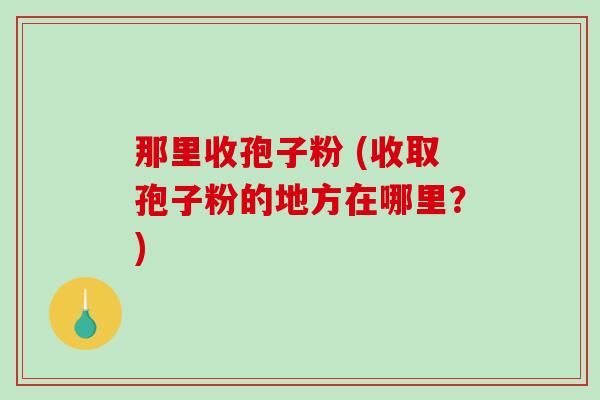 那里收孢子粉 (收取孢子粉的地方在哪里？)