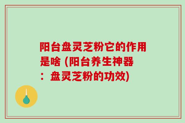 阳台盘灵芝粉它的作用是啥 (阳台养生神器：盘灵芝粉的功效)