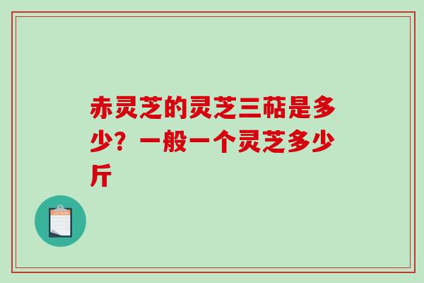 赤灵芝的灵芝三萜是多少？一般一个灵芝多少斤