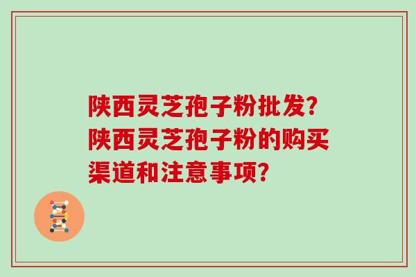陕西灵芝孢子粉批发？陕西灵芝孢子粉的购买渠道和注意事项？
