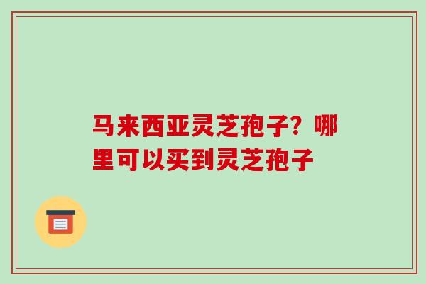 马来西亚灵芝孢子？哪里可以买到灵芝孢子