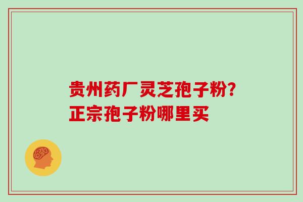 贵州药厂灵芝孢子粉？正宗孢子粉哪里买
