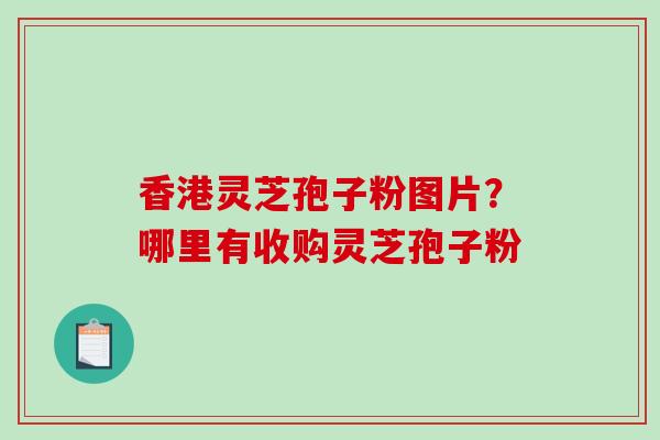香港灵芝孢子粉图片？哪里有收购灵芝孢子粉