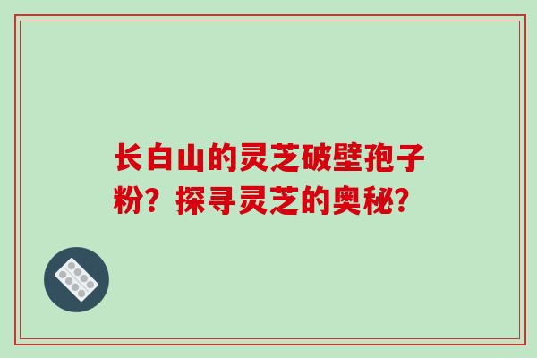 长白山的灵芝破壁孢子粉?探寻灵芝的奥秘? 长白山的灵芝破壁孢子粉?探寻灵芝的奥秘?