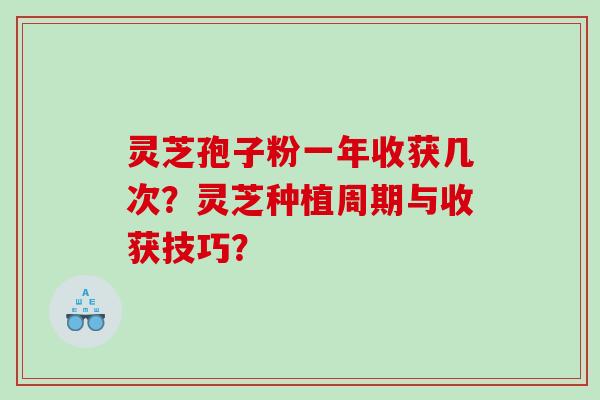 灵芝孢子粉一年收获几次？灵芝种植周期与收获技巧？